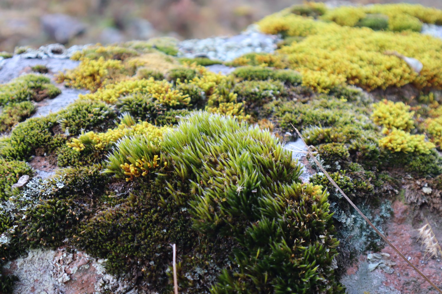 fotos actiinver fotos