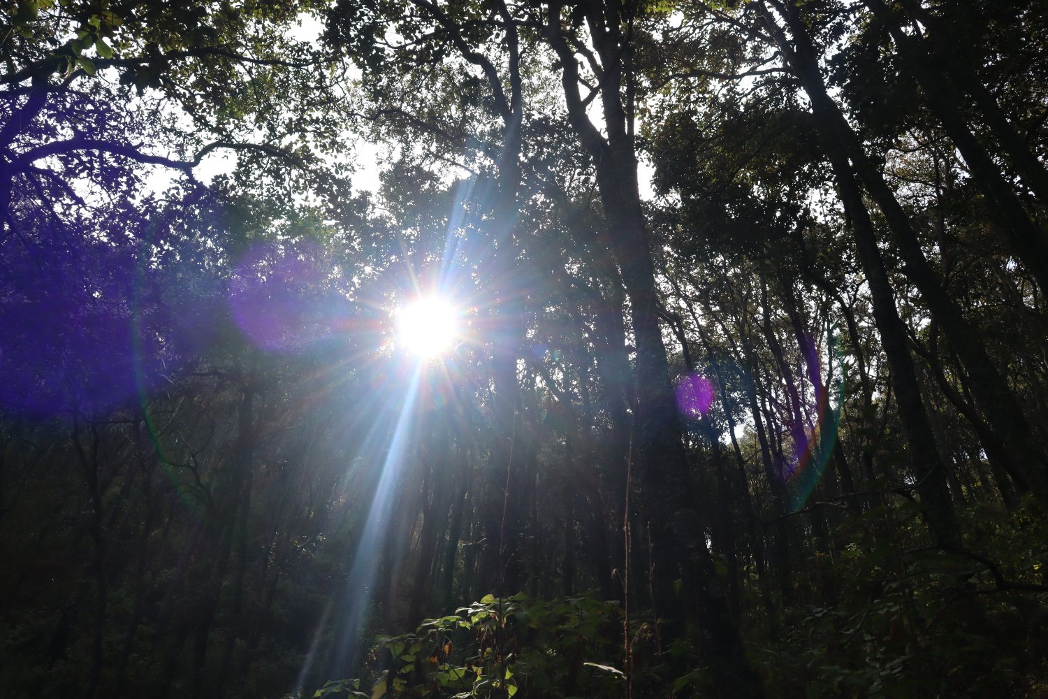 fotos actiinver fotos