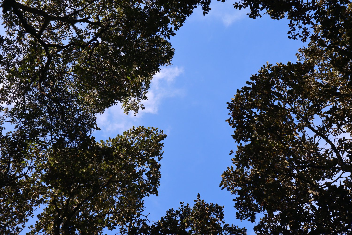 fotos actiinver fotos