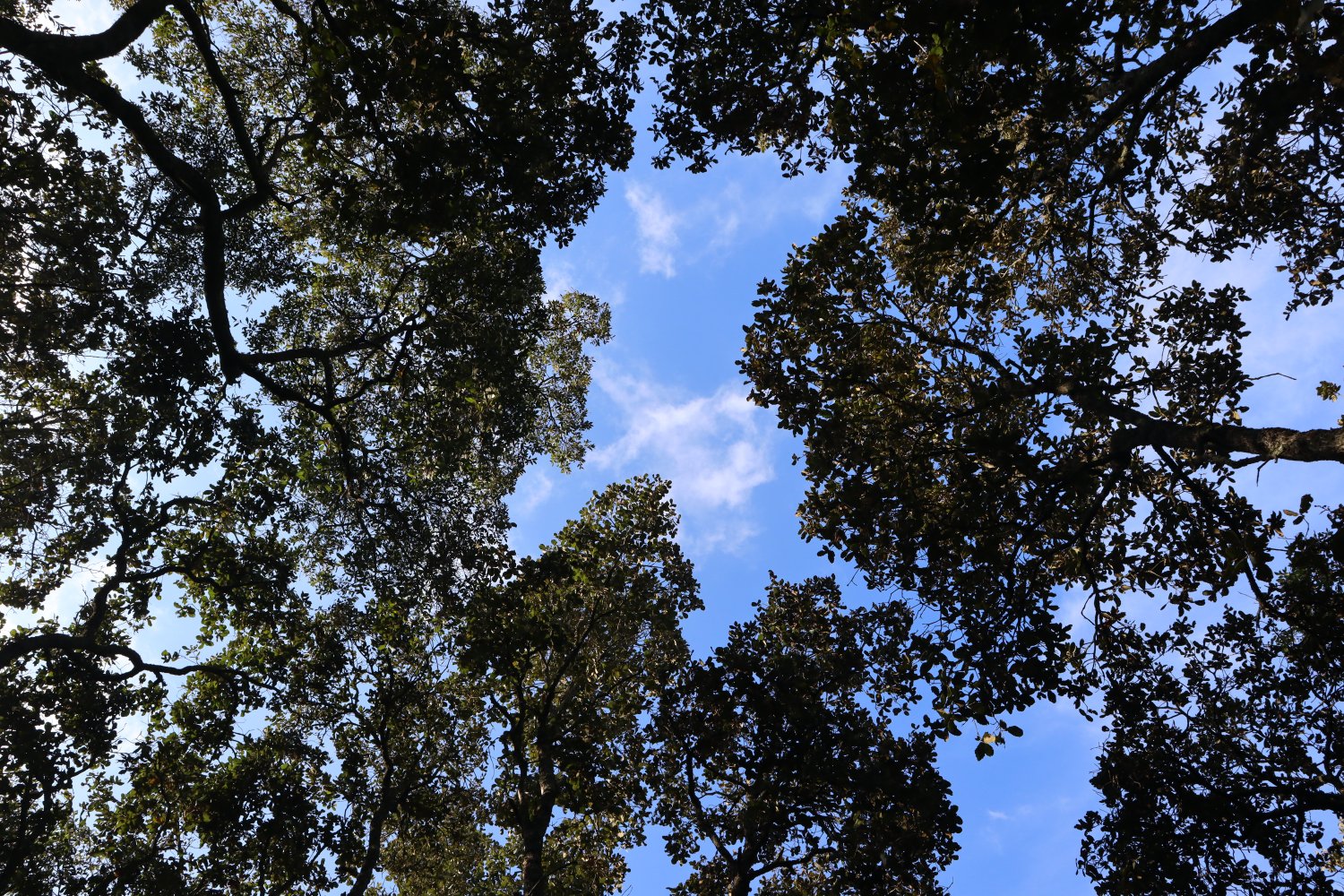 fotos actiinver fotos